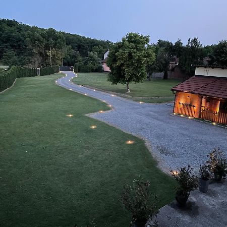 Modern House Surrounded By Nature Grabrov Potok Exteriör bild